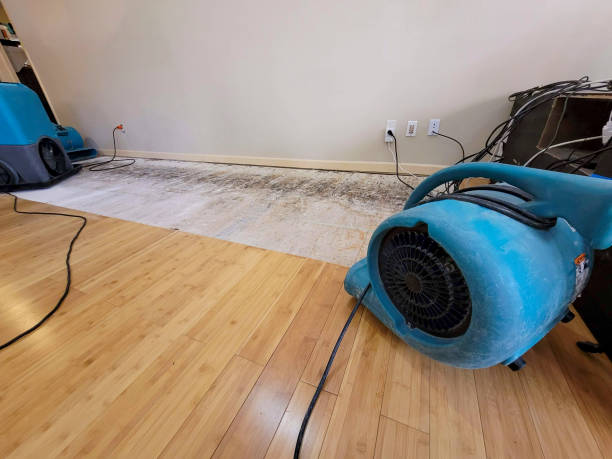 Professional Water Damage Repair technician working in Fuquay-Varina, NC